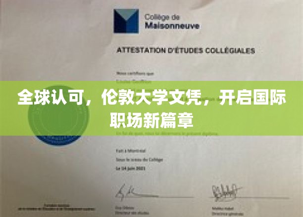 跨国通行证，伦敦大学文凭助力全球职场飞跃