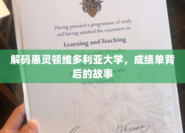 揭秘惠灵顿维多利亚大学，揭秘学子成绩单背后的传奇人生