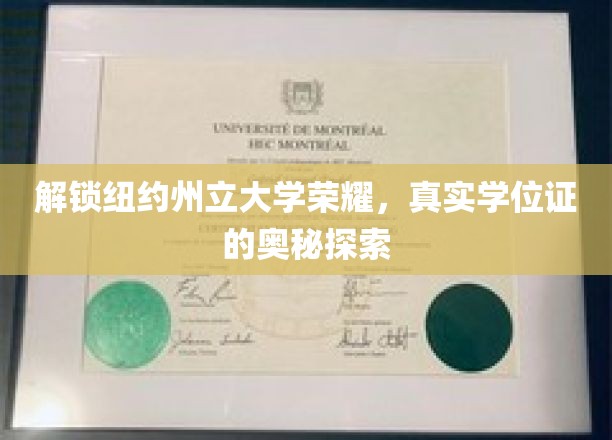 探寻纽约州立大学学位证背后的传奇故事