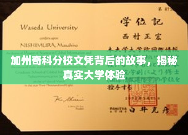 加州奇科分校文凭背后的故事，揭秘真实大学体验