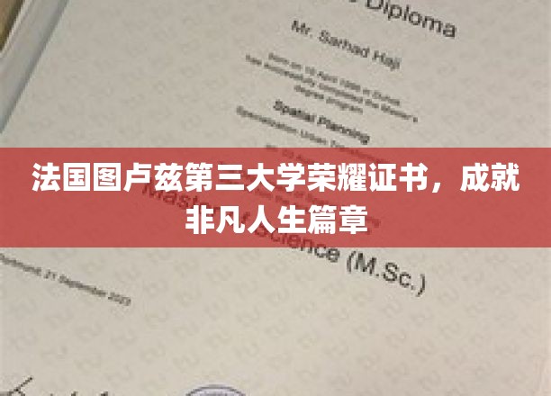 法国图卢兹第三大学荣耀证书，成就非凡人生篇章