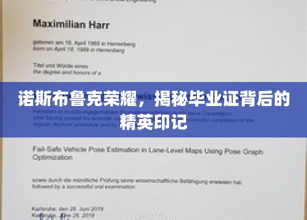 诺斯布鲁克荣耀，毕业证书中的精英传奇