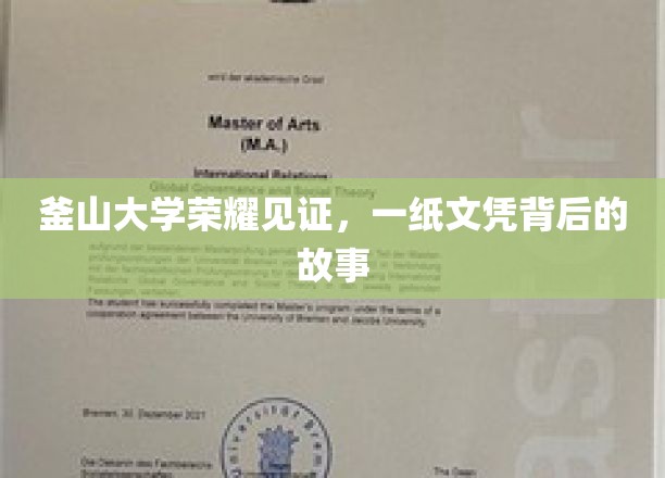 釜山荣耀，探寻一纸文凭背后的传奇历程