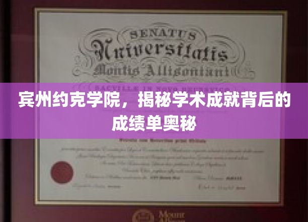 宾州约克学院，揭秘学术巅峰背后的成绩单秘密