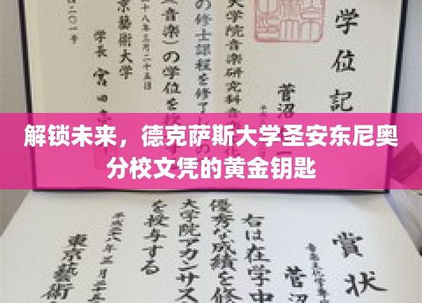 德克萨斯大学圣安东尼奥分校文凭，开启未来大门的璀璨钥匙