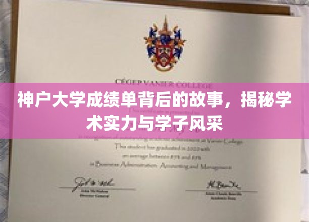 神户大学成绩单背后的传奇，探寻学术辉煌与青春风采