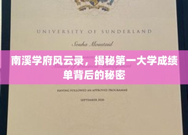 学府秘档，南溪学府成绩单背后的惊人真相