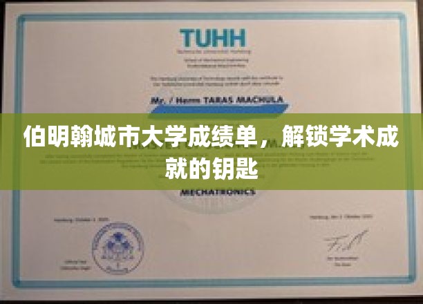 解锁学术辉煌，伯明翰城市大学成绩单背后的秘密宝藏