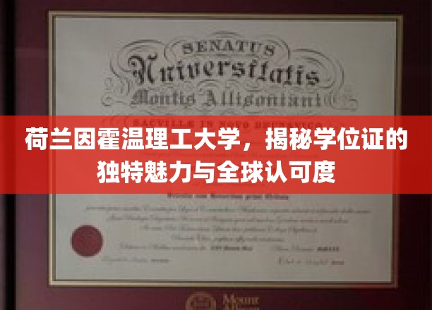 荷韵科技学府，因霍温理工学位证的国际风采与非凡价值