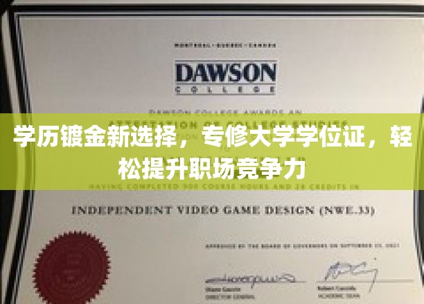 轻松获得专修学位，职场升级之路的新捷径