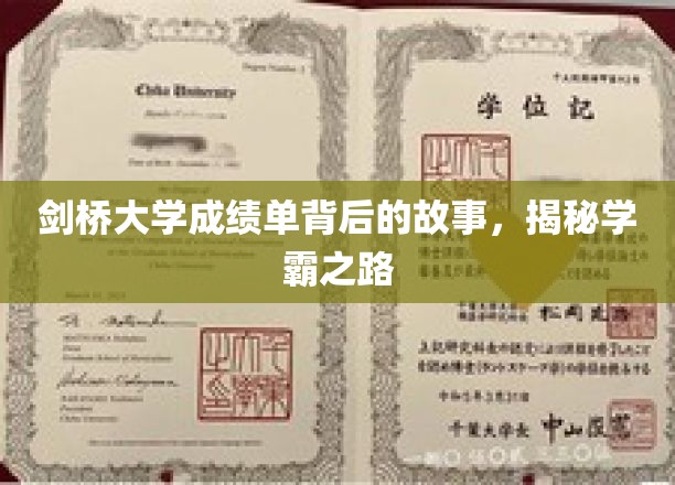 揭秘剑桥学霸的秘密，成绩单背后的非凡历程