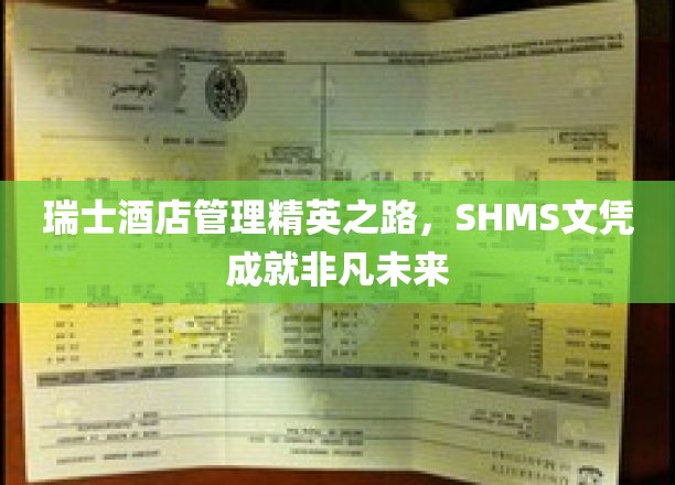 瑞士酒店管理摇篮，SHMS文凭开启璀璨职业人生
