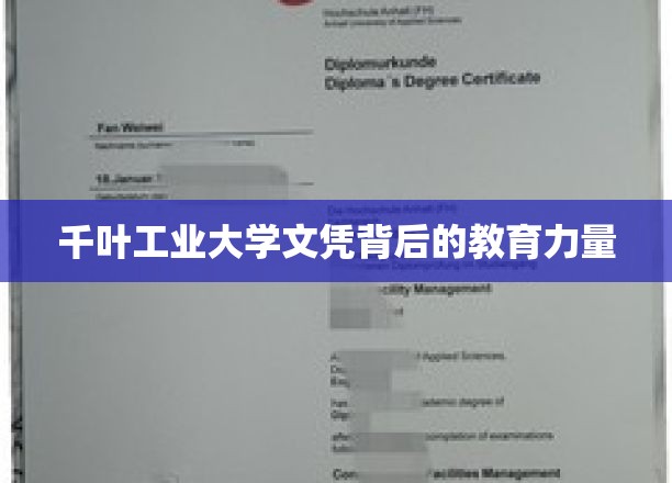 千叶工业大学文凭背后的教育力量