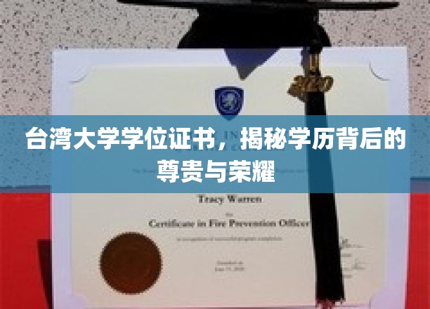解码台大证书，学历之光下的尊荣印记