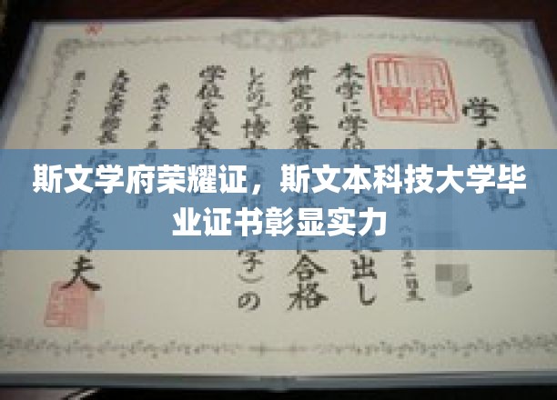 斯文荣耀显锋芒，本科技大学证书映实力辉煌