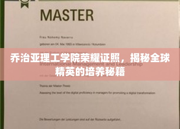 乔治亚理工骄人成就，揭秘顶尖精英的孵化之道