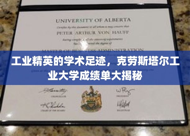 工业精英的学术足迹，克劳斯塔尔工业大学成绩单大揭秘
