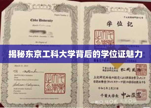 探寻东京工科大学学位证的独特魅力