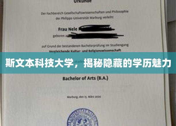 斯文本科技大学，揭秘隐藏的学历魅力