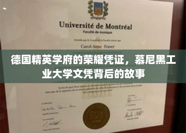 德国精英学府的荣耀凭证，慕尼黑工业大学文凭背后的故事