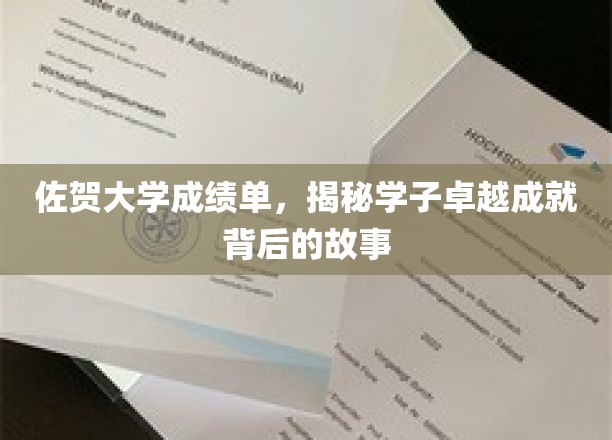 佐贺学子非凡之路，揭开卓越成绩背后的传奇篇章