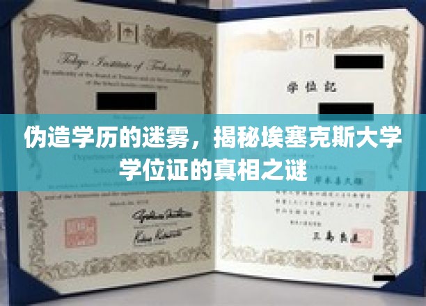 伪造学历的迷雾，揭秘埃塞克斯大学学位证的真相之谜