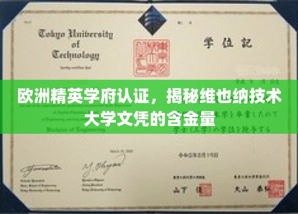 维也纳技术大学文凭，欧洲精英学府认证下的高含金量解析