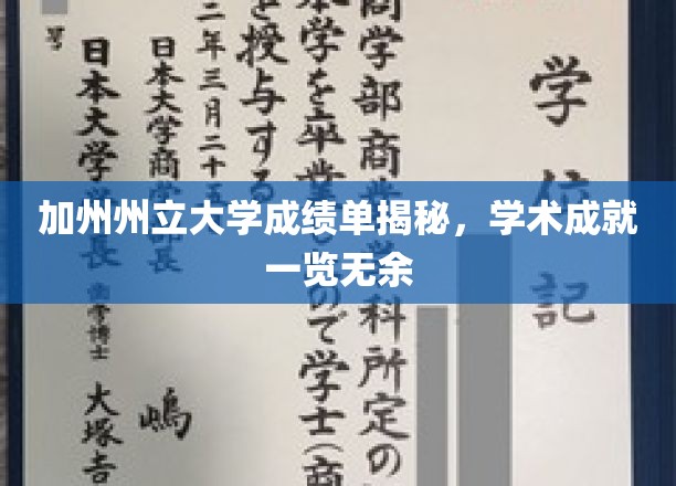 加州州立大学成绩单揭秘，学术成就一览无余