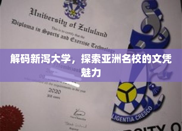 揭开新泻大学神秘面纱，亚洲名校的学术魅力一探究竟