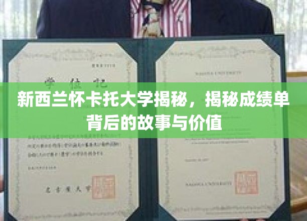 解码怀卡托，揭秘成绩单的深层意义与价值