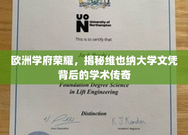 维也纳大学，探寻欧洲名校荣耀与学术传奇的神秘面纱