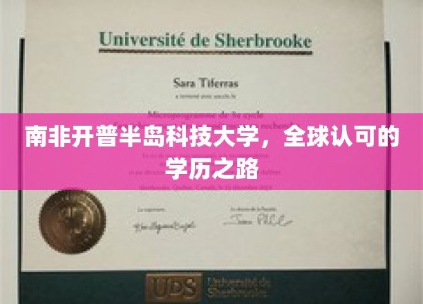 探索南非学术瑰宝，开普半岛科技大学的世界通行证