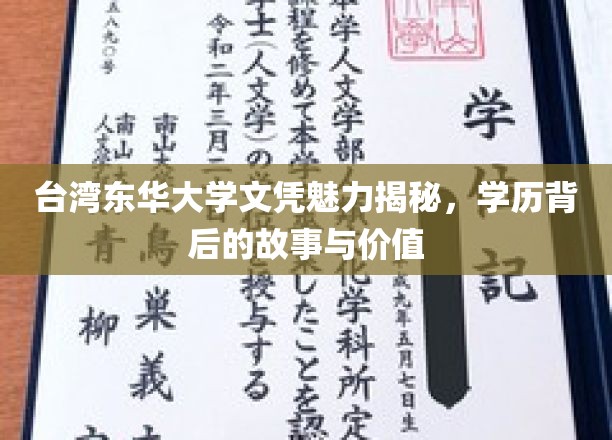 台湾东华大学文凭魅力揭秘，学历背后的故事与价值