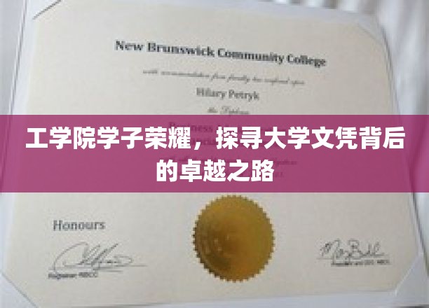 青春筑梦工院，揭秘学子文凭背后的非凡篇章