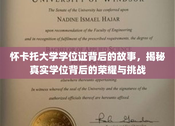 探寻怀卡托大学学位证的荣耀征途，荣耀与挑战背后的真实故事