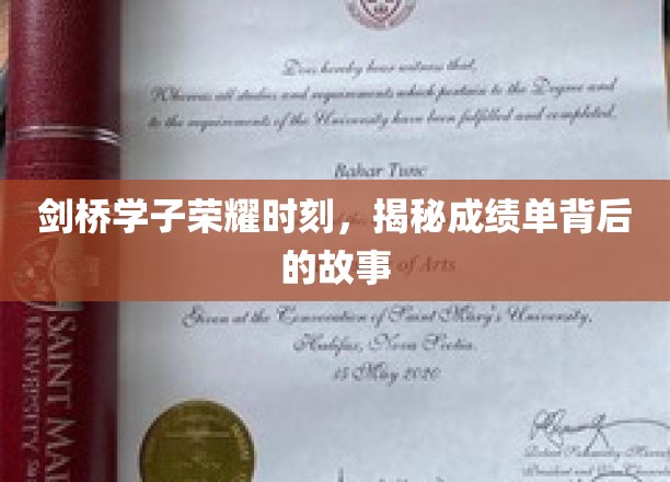 剑桥之光，揭秘学霸背后的成长密码