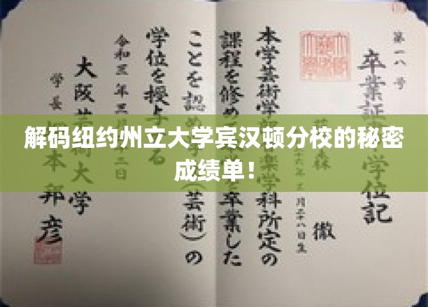 纽约州立大学宾汉顿分校，揭开隐藏在成绩单背后的独特奥秘
