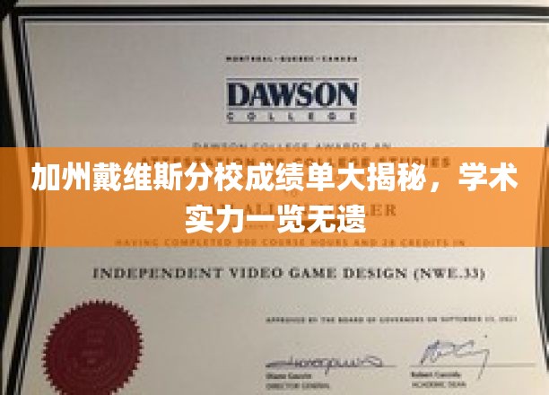 加州戴维斯分校成绩单大揭秘，学术实力一览无遗