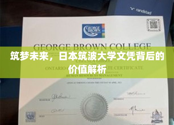 筑梦未来,日本筑波大学文凭背后的价值解析