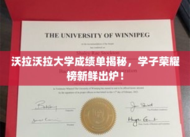 沃拉沃拉大学学霸风云录，最新成绩单荣耀榜震撼揭晓！