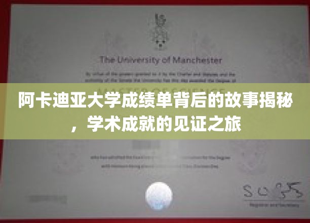 阿卡迪亚大学成绩单背后的传奇，探索学术荣耀的奥秘之旅