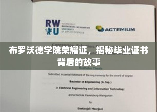布罗沃德学院荣耀证，揭秘毕业证书背后的故事