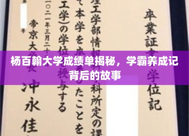 杨百翰大学学霸养成记，揭秘隐藏在成绩单背后的励志故事