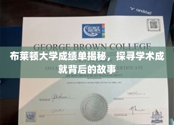 解码布莱顿卓越成绩，探寻学术辉煌背后的秘密旅程