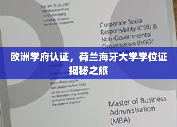 欧洲学府认证，荷兰海牙大学学位证揭秘之旅