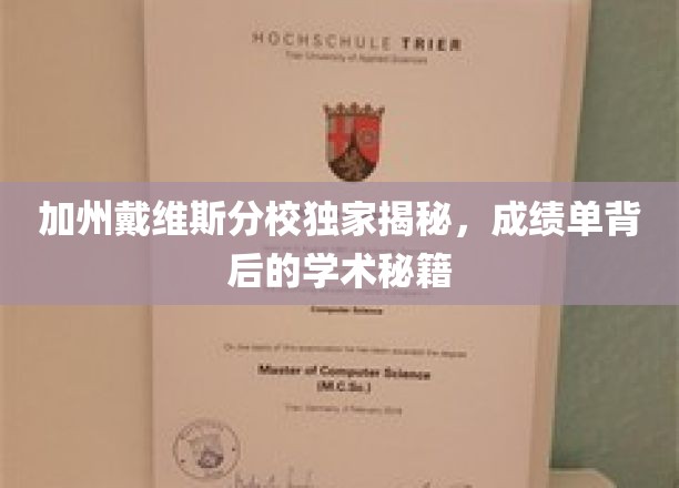 解码加州戴维斯分校学霸成绩单，揭秘学霸背后的学术攻略