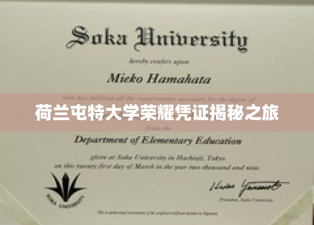 解码荷兰屯特大学荣耀证书背后的故事