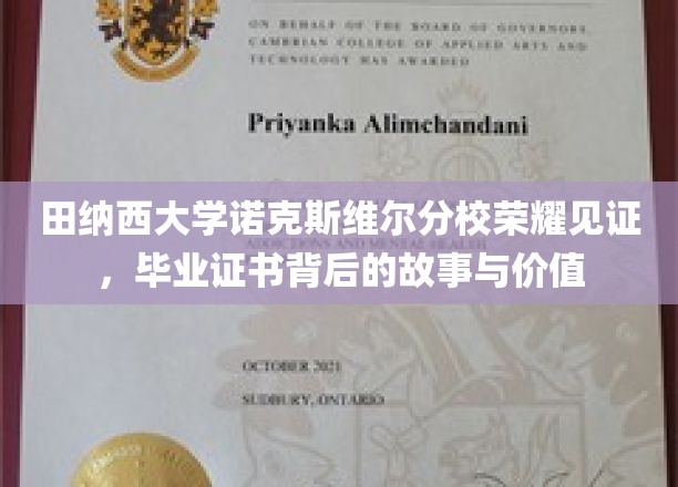 田纳西大学诺克斯维尔分校荣耀见证，毕业证书背后的故事与价值