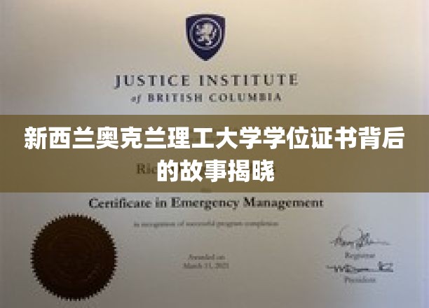 奥克兰理工辉煌背后，揭秘学位证书的非凡历程