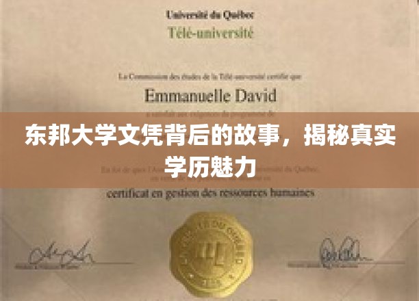 东邦大学文凭背后的传奇，探寻学历的真正价值与魅力